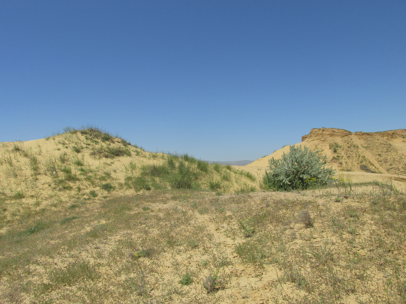 Окрестности села Коркмаскала, изображение ландшафта.