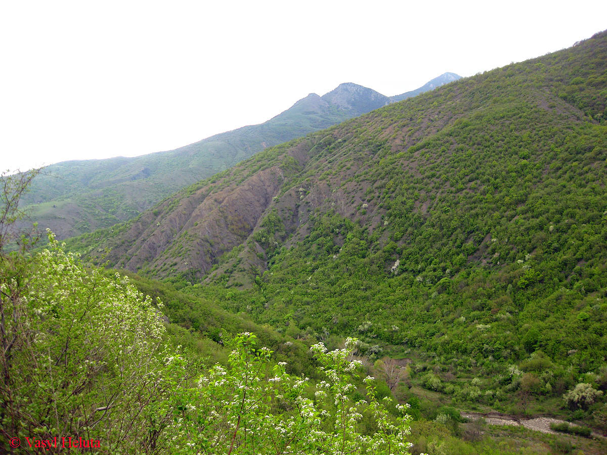 Аликот-Богаз, image of landscape/habitat.