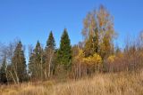 Долина реки Горетовка, image of landscape/habitat.