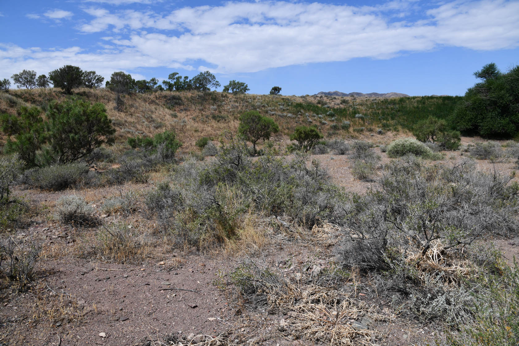 Горы Улькен-Богуты, image of landscape/habitat.