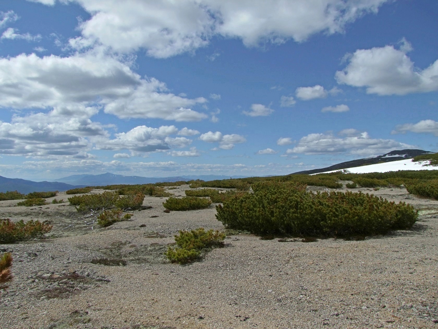 Водораздел Дукчи и Омчика, image of landscape/habitat.