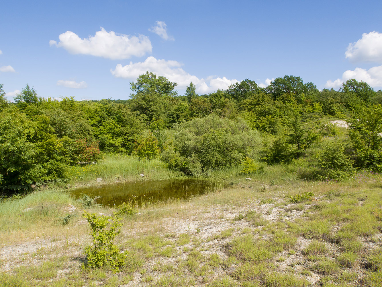 Озерцо на дне карьера, image of landscape/habitat.