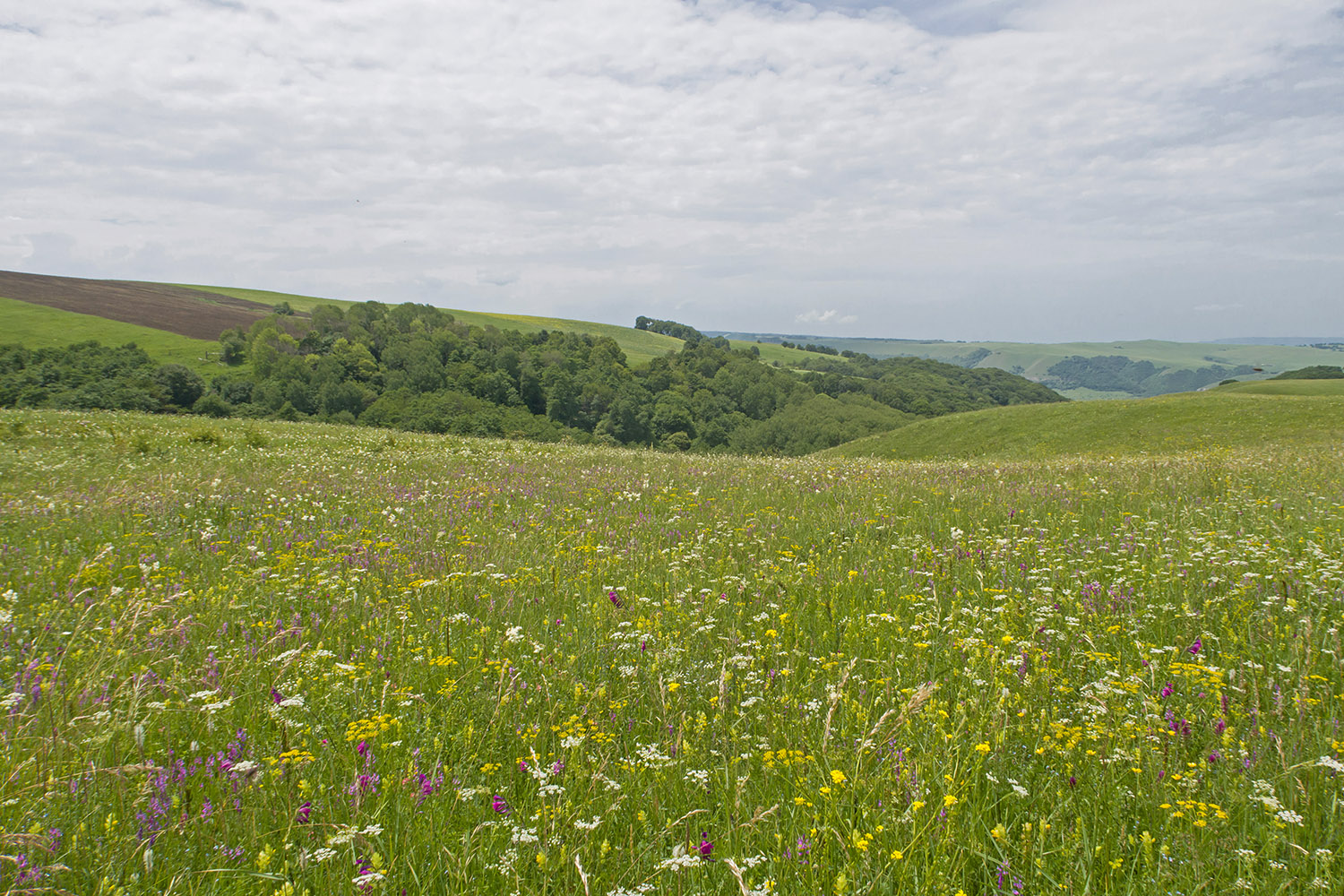 Джисса, image of landscape/habitat.