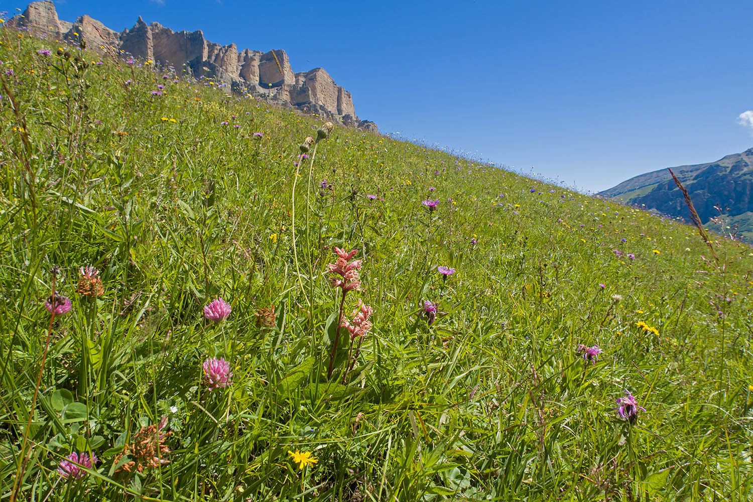 Мехтеген, image of landscape/habitat.