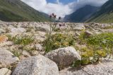 Image of landscape