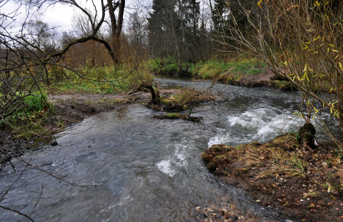 Долина реки Горетовка, image of landscape/habitat.