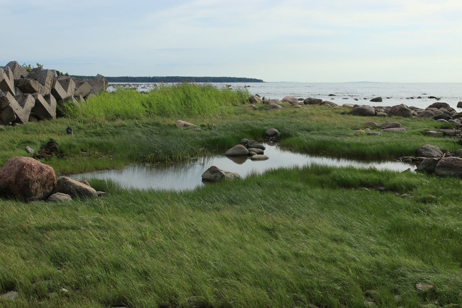 Каравалдай, image of landscape/habitat.