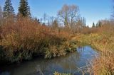 Долина реки Горетовка, image of landscape/habitat.