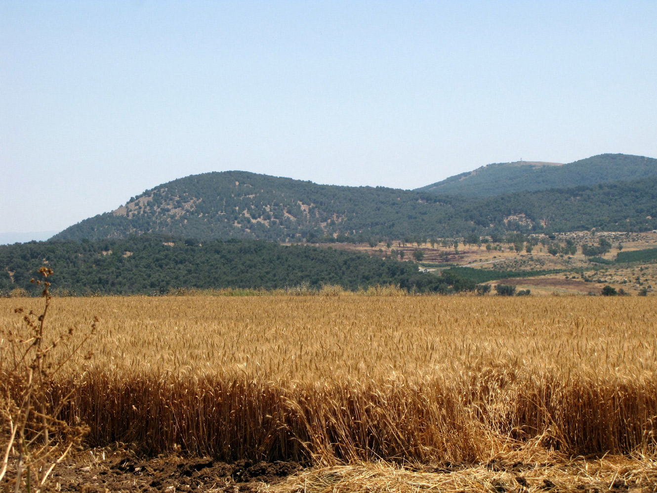 Горы Гильбоа, image of landscape/habitat.