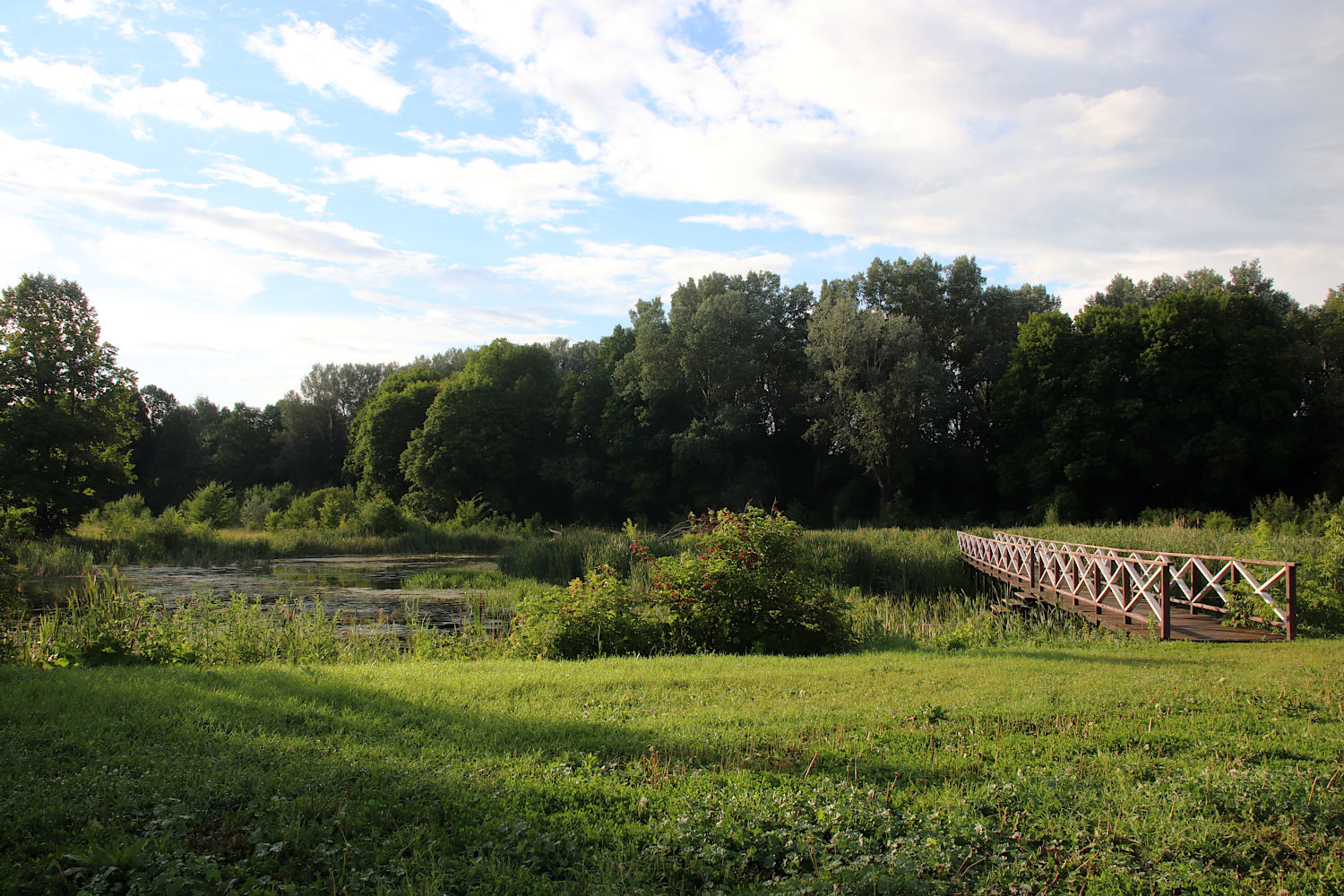 Орловка и окрестности, image of landscape/habitat.