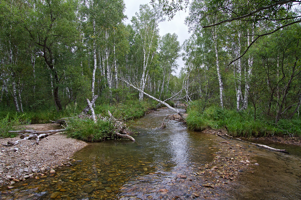 Тигирек, image of landscape/habitat.