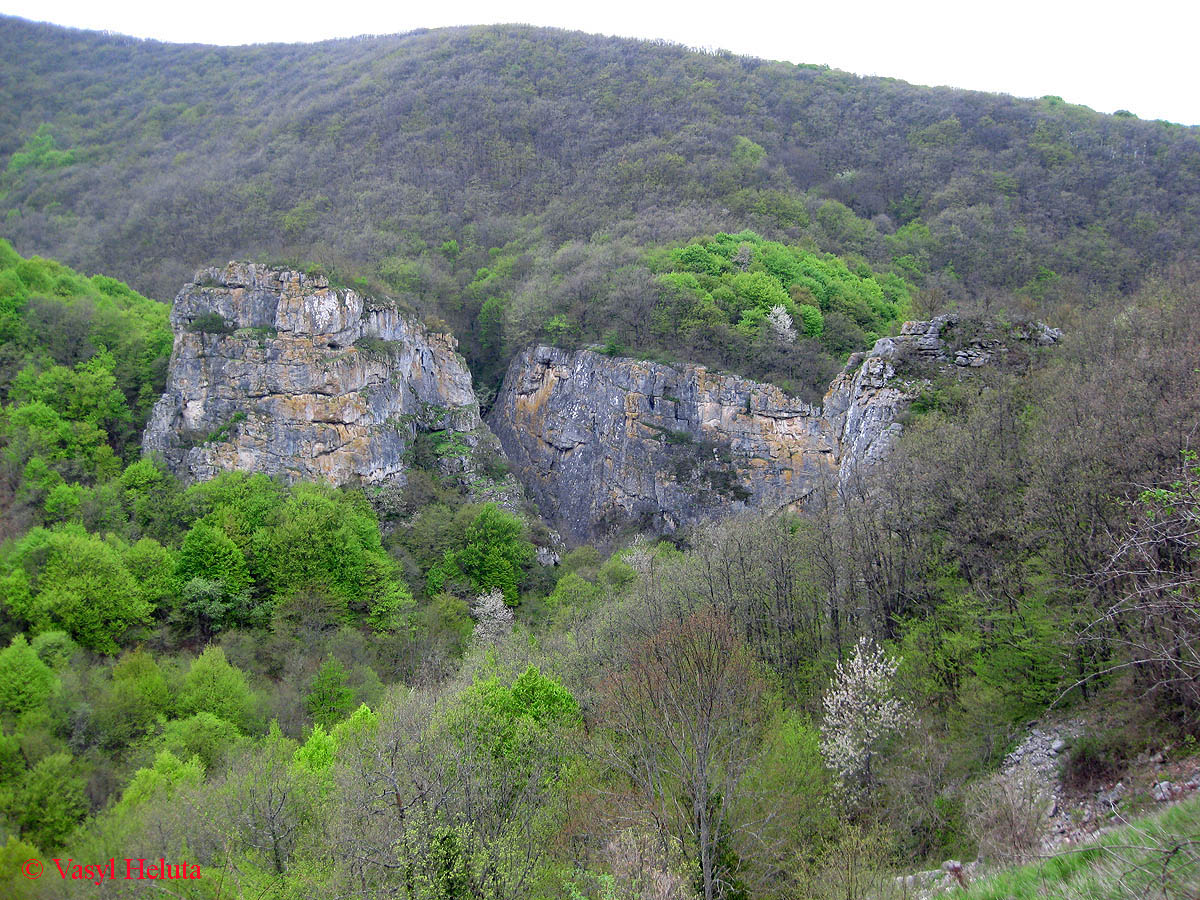 Шайтан-Капу, image of landscape/habitat.