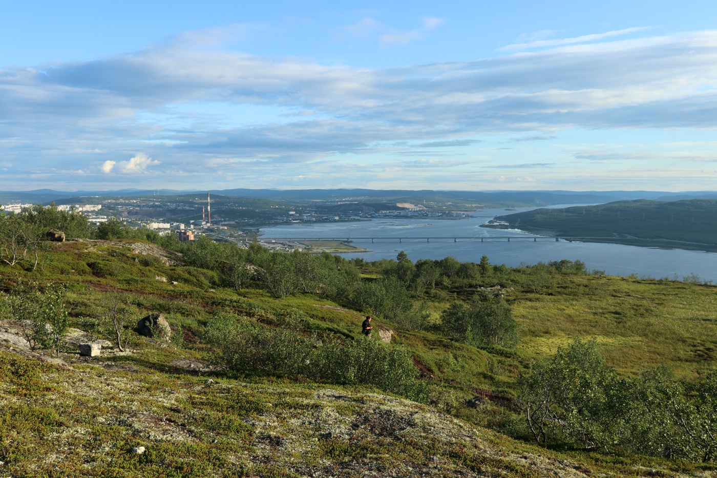 Горелая сопка, image of landscape/habitat.