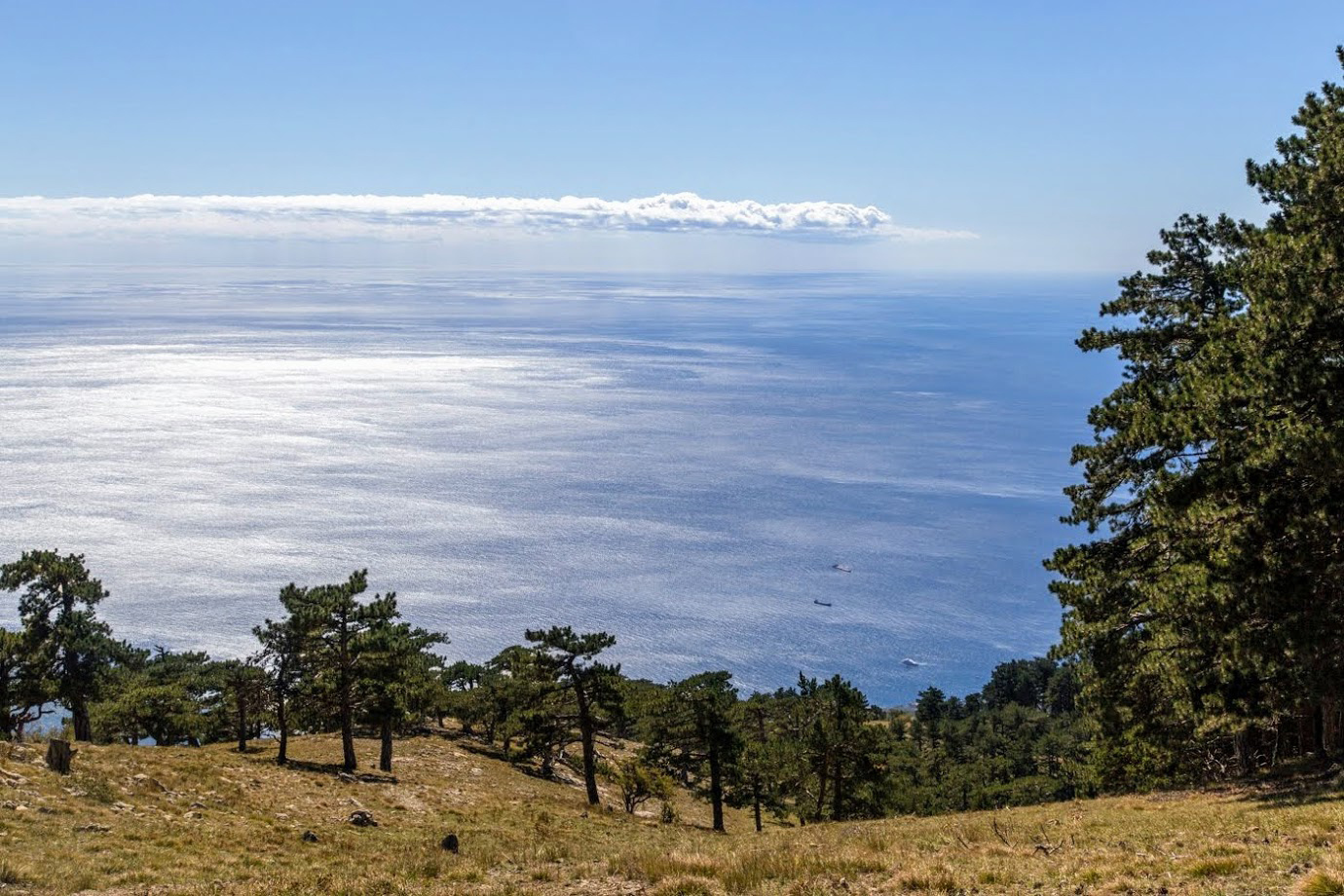 Ай-Илья-Сырым, image of landscape/habitat.