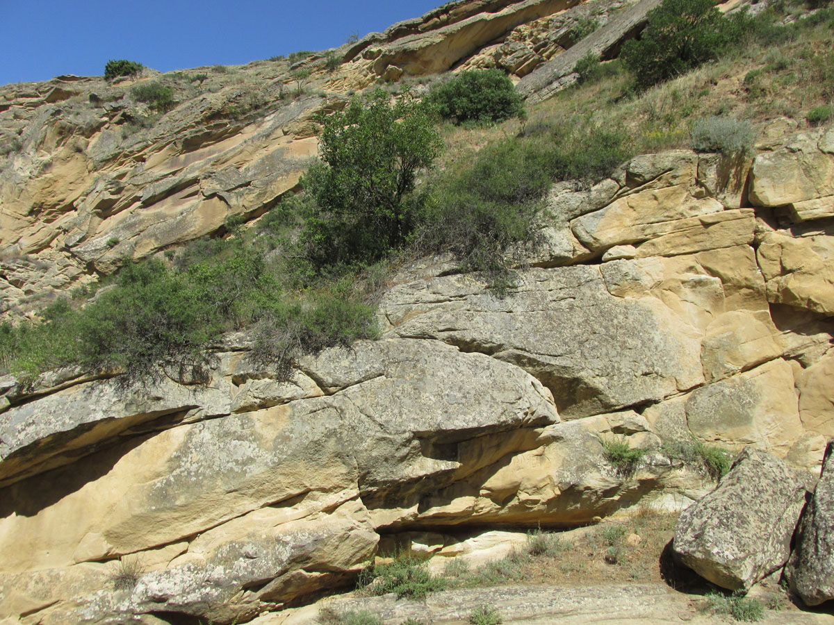 Хребет Нарат-Тюбе, image of landscape/habitat.