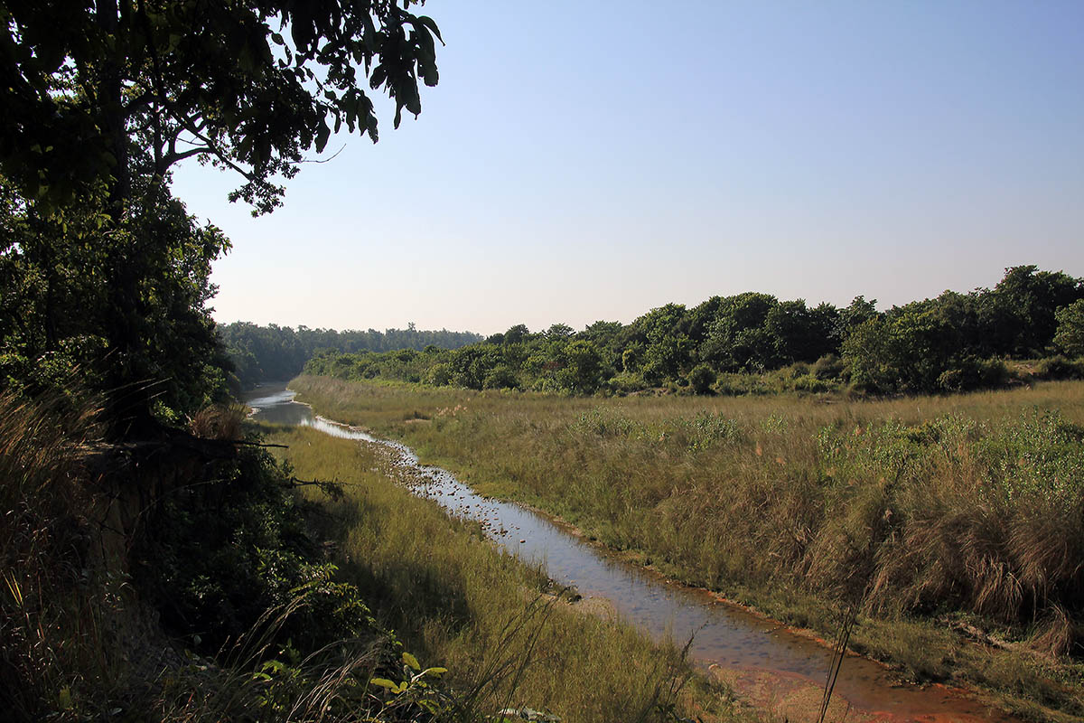 Бардия, image of landscape/habitat.