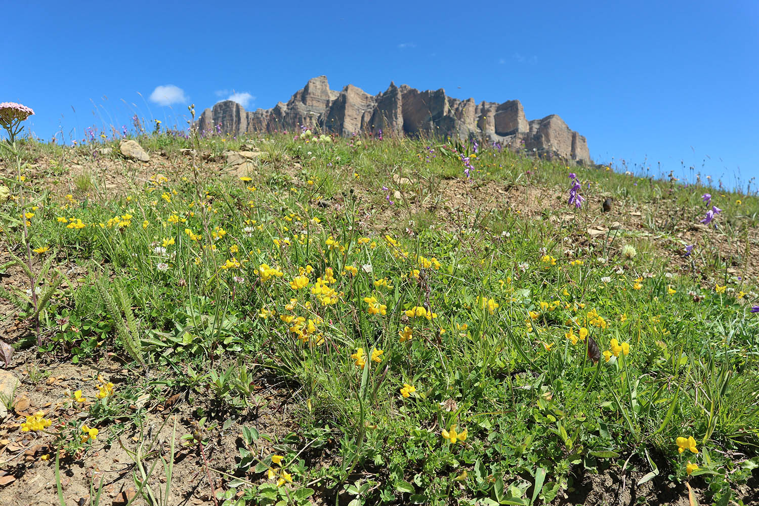 Перевал Северный Курноят, image of landscape/habitat.
