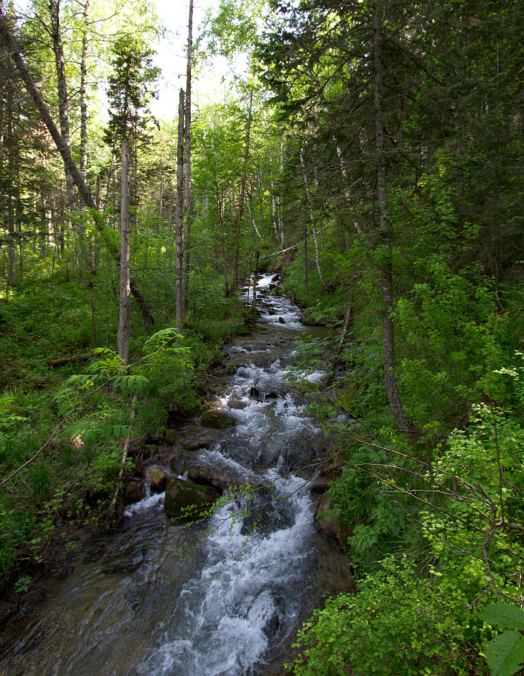 Тигирек, image of landscape/habitat.