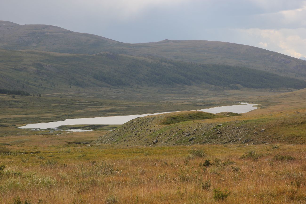 Верховья реки Джумалы, image of landscape/habitat.