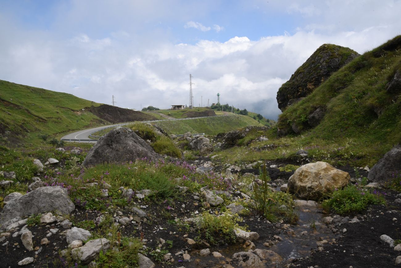 Альплагерь "Кязи" и окрестности, image of landscape/habitat.