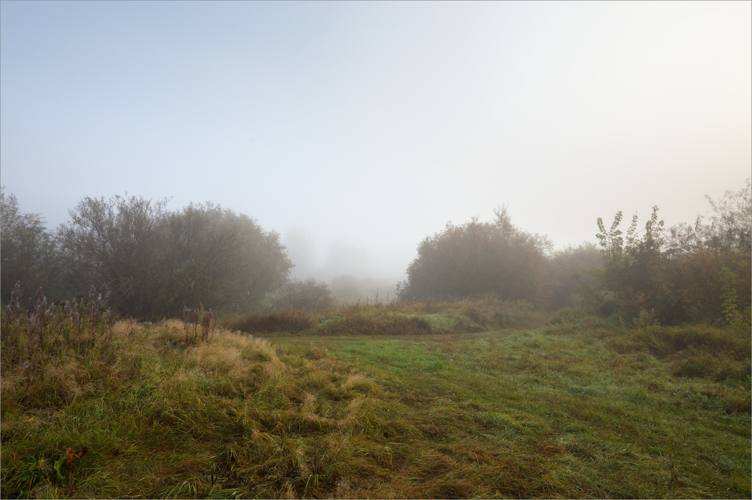 Стрелка Оки и Клязьмы, image of landscape/habitat.