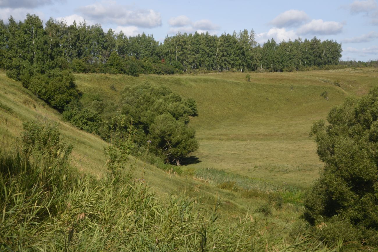 Нижняя часть долины Паники, image of landscape/habitat.