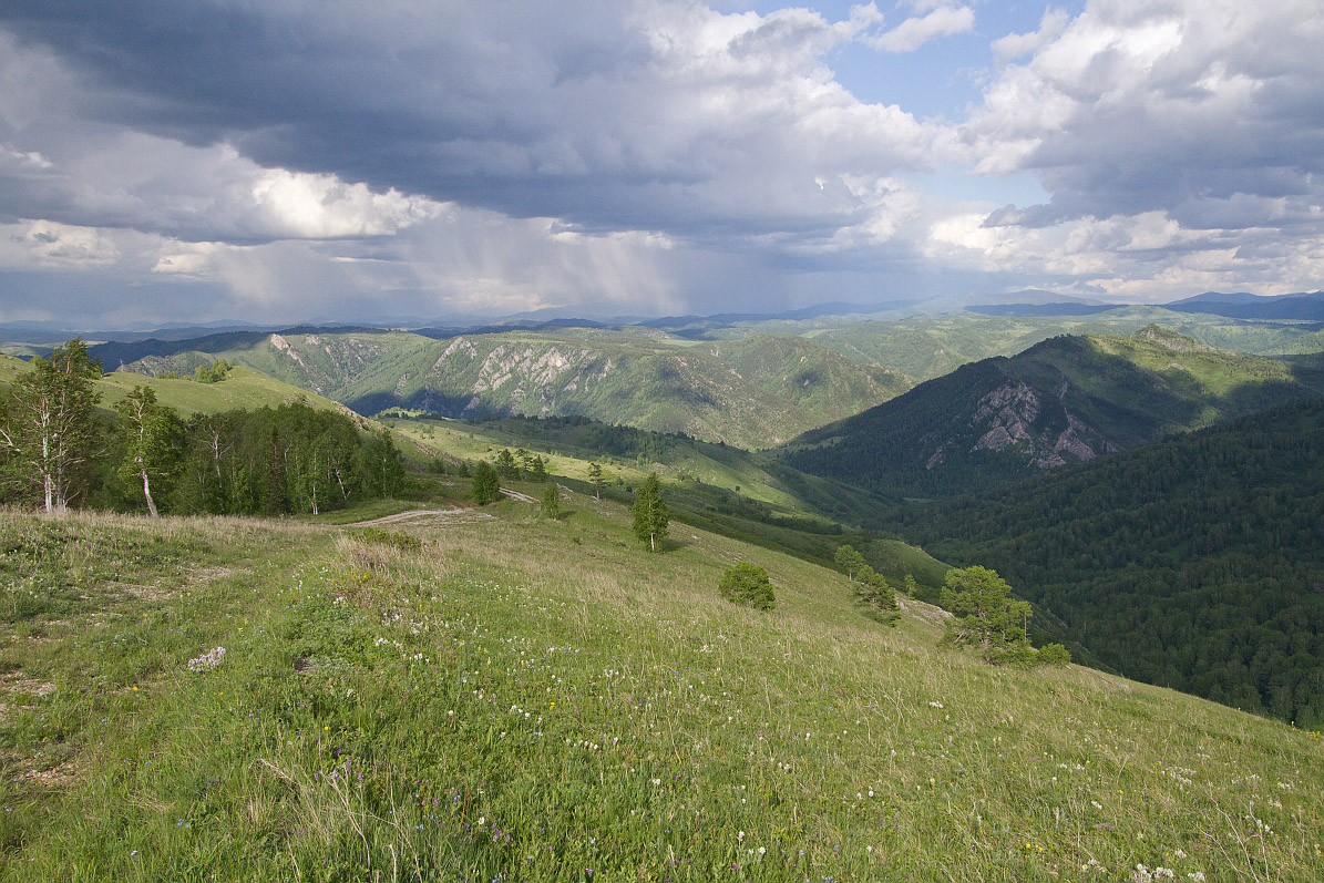 Тигирек, image of landscape/habitat.