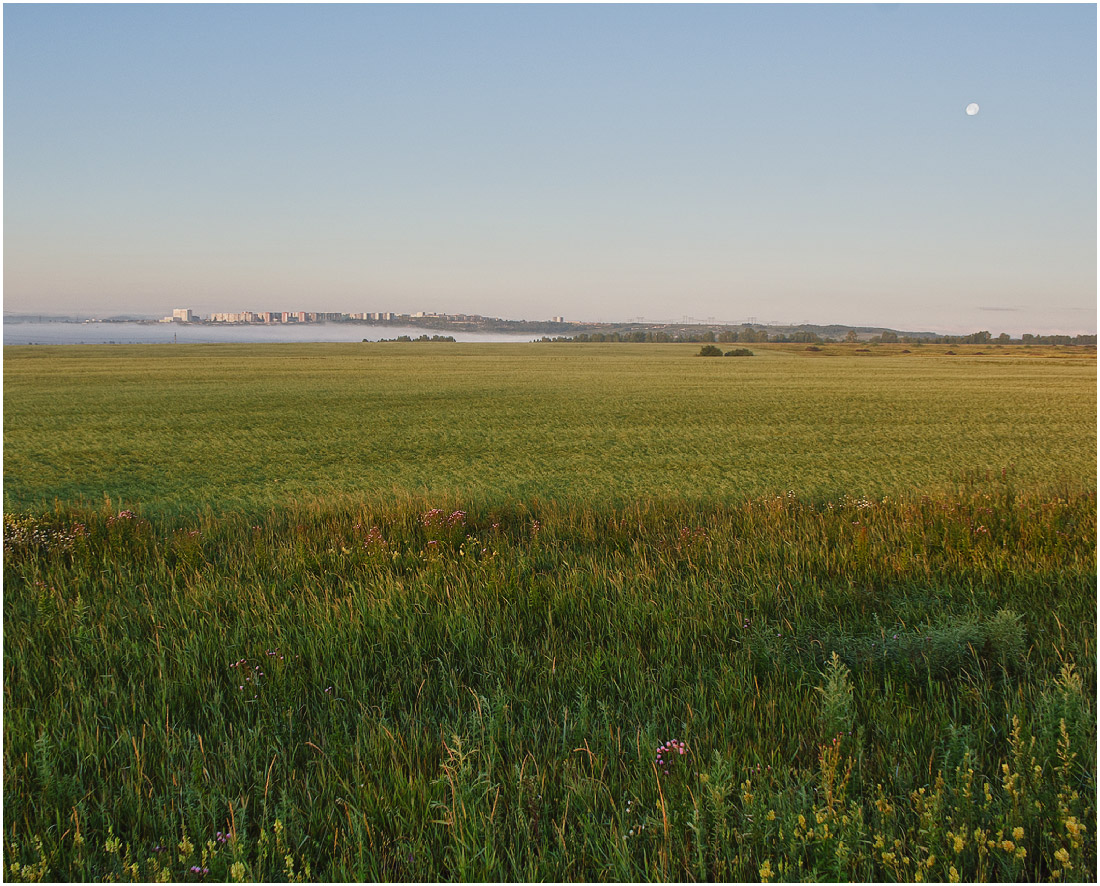 Красноярск и окрестности, image of landscape/habitat.