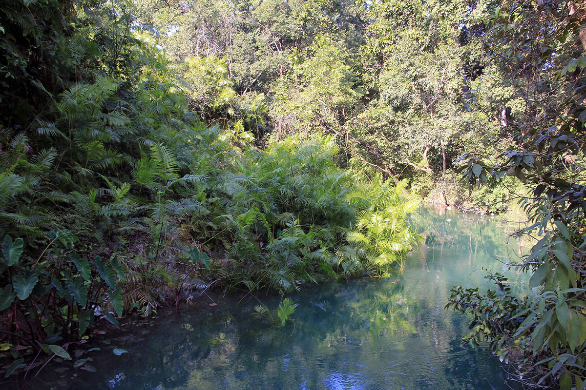 Бардия, image of landscape/habitat.