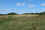 Изборско-Мальская долина, image of landscape/habitat.