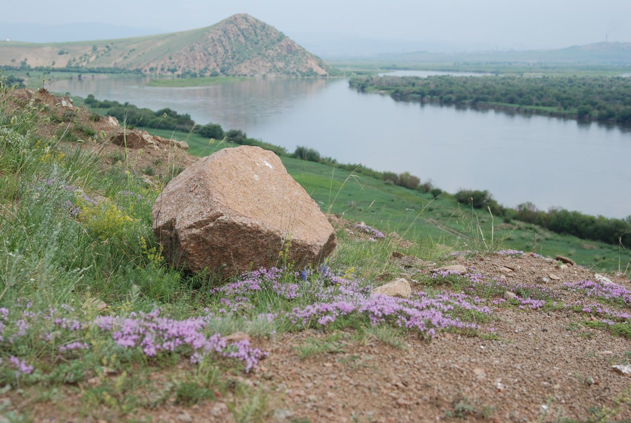 Окрестности города Улан-Удэ, image of landscape/habitat.