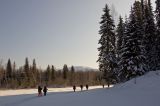 Окрестности поселка Велс, изображение ландшафта.