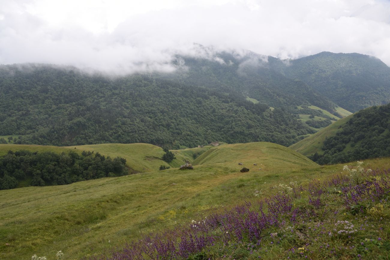 Урочище Кязи и окрестности, image of landscape/habitat.