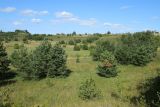 Изборско-Мальская долина, image of landscape/habitat.