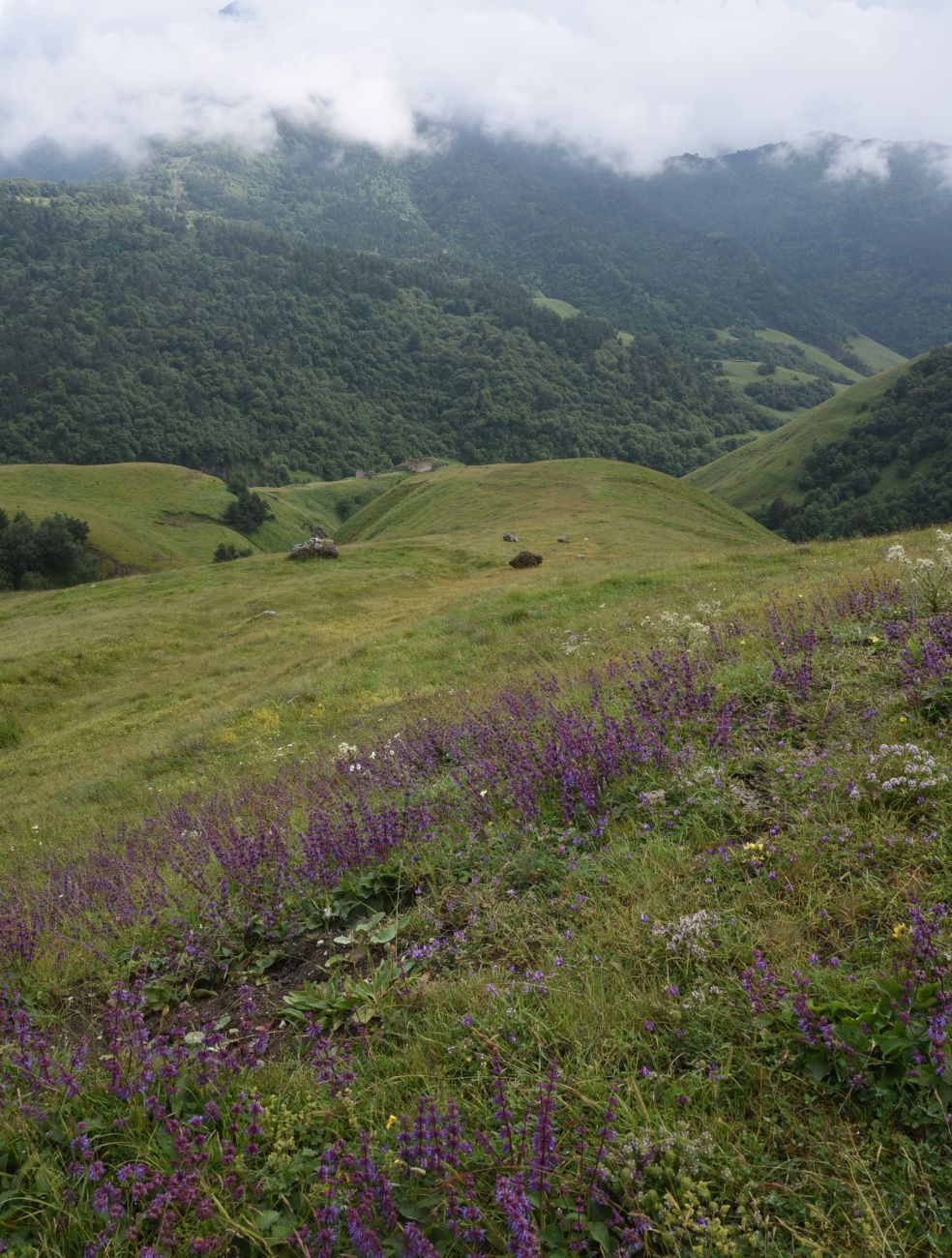 Урочище Кязи и окрестности, image of landscape/habitat.