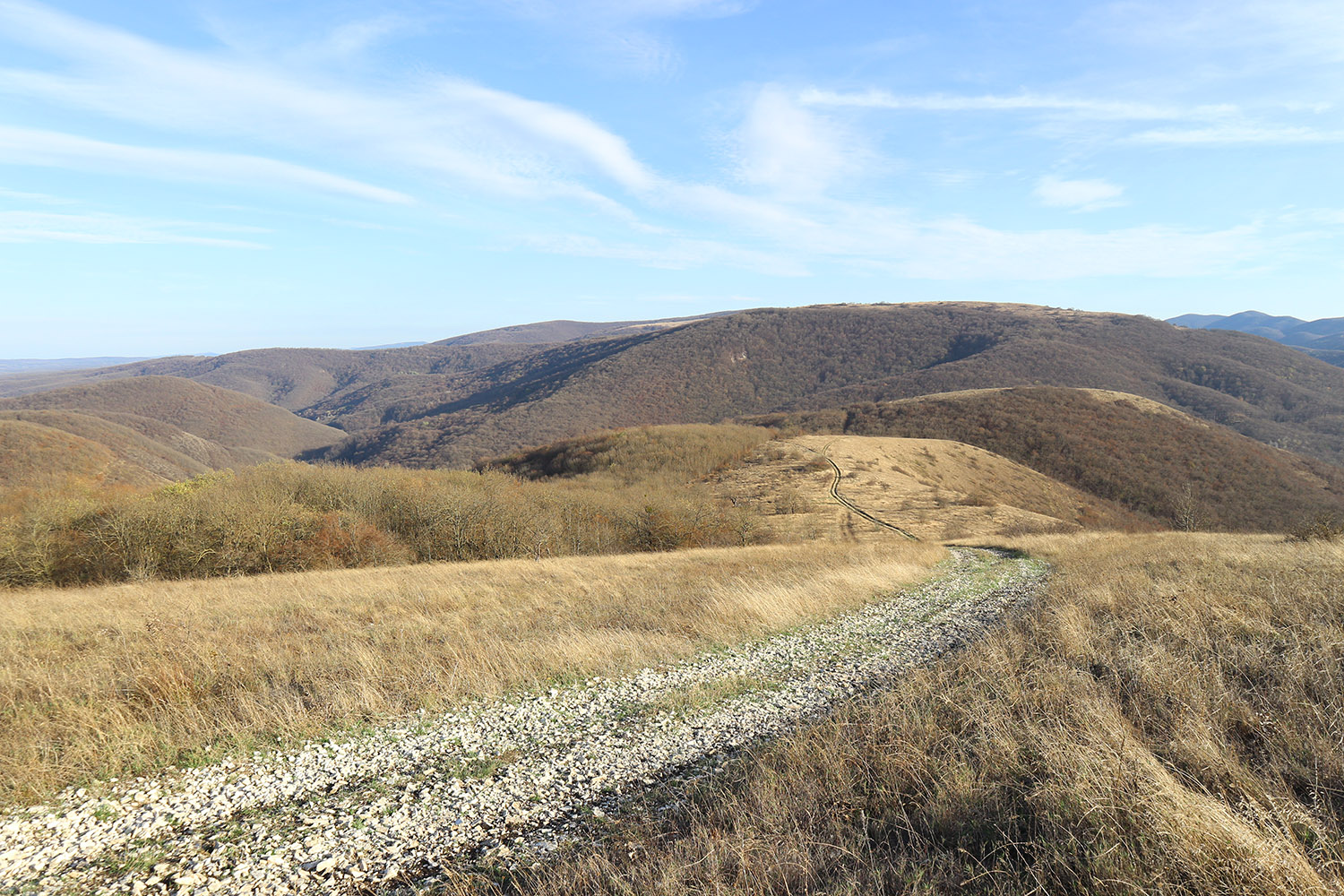 Херсонка, image of landscape/habitat.