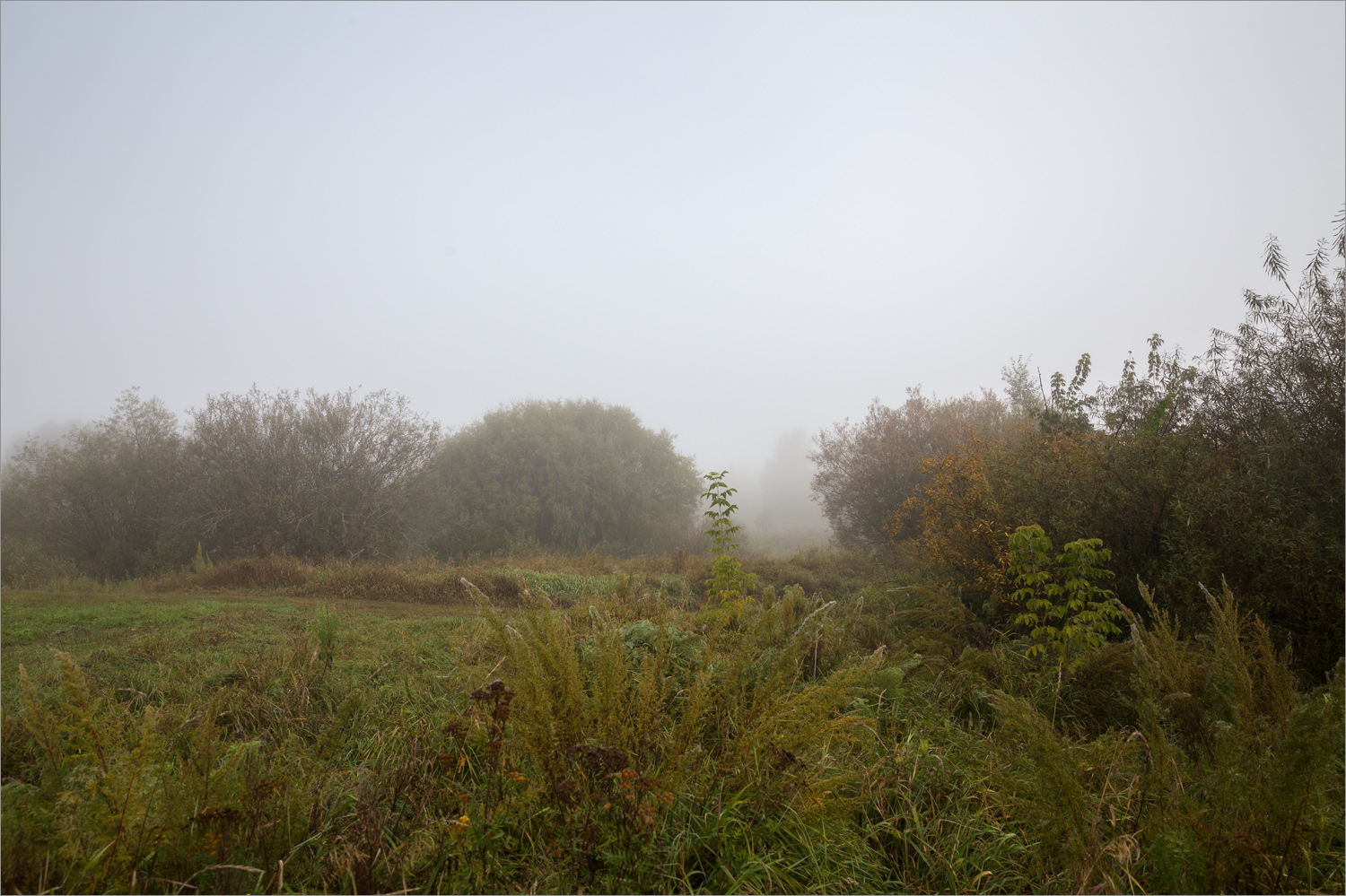 Стрелка Оки и Клязьмы, image of landscape/habitat.