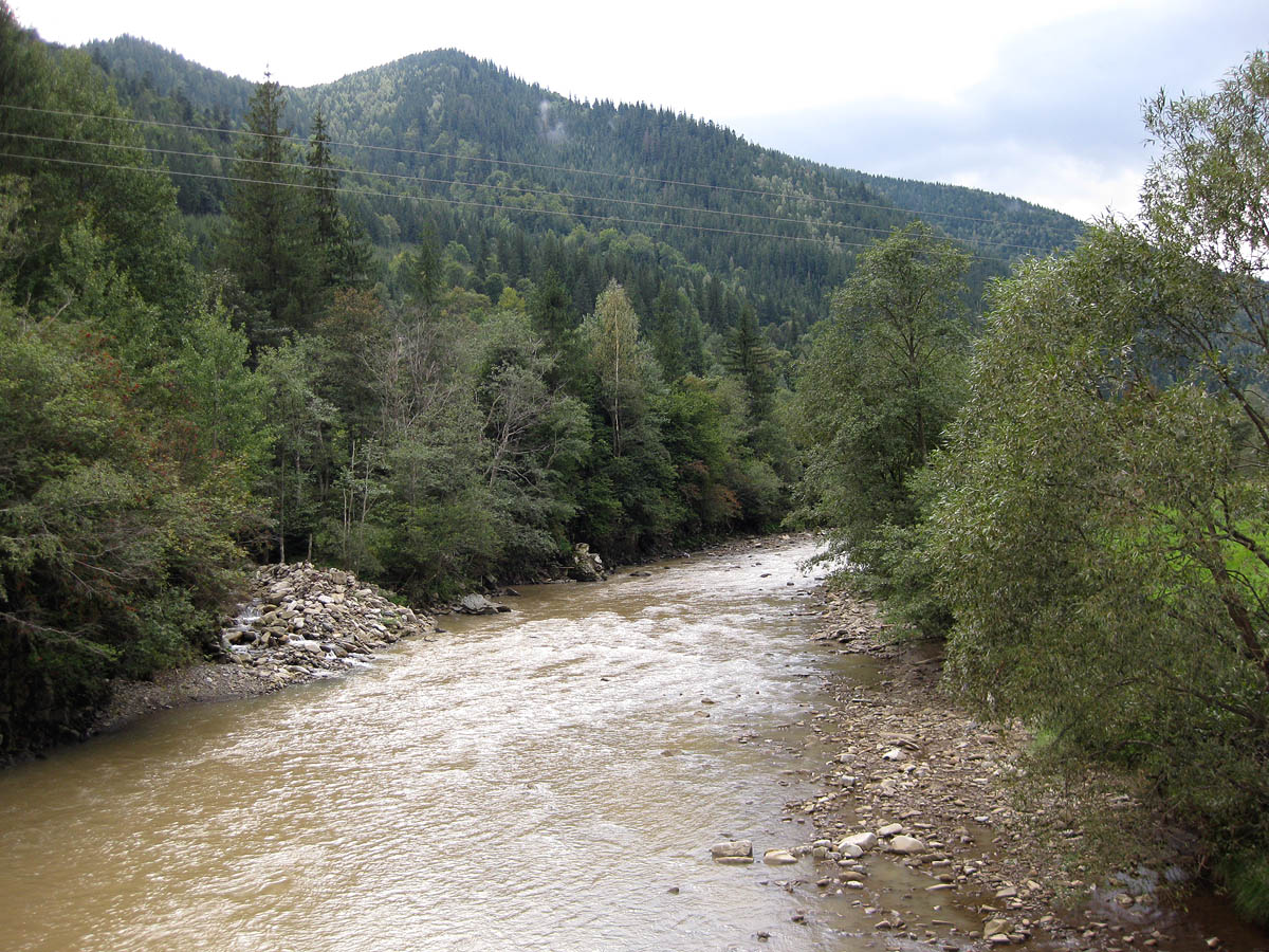 Заповедник "Горганы", Максимец, image of landscape/habitat.