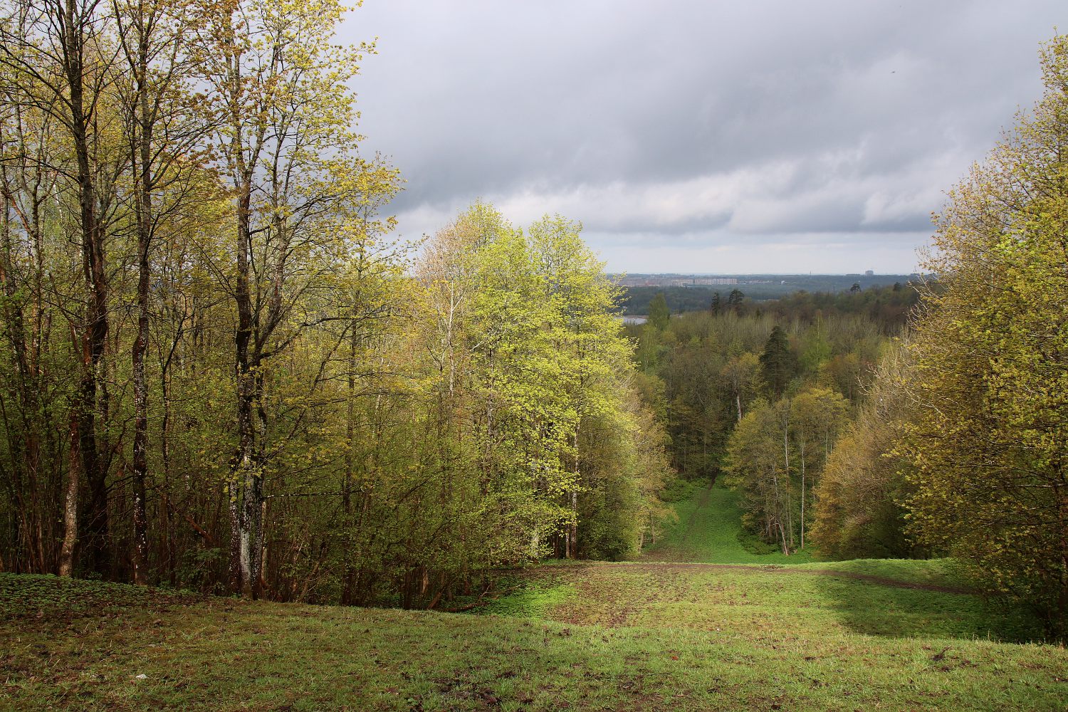 Дудергофские высоты, image of landscape/habitat.