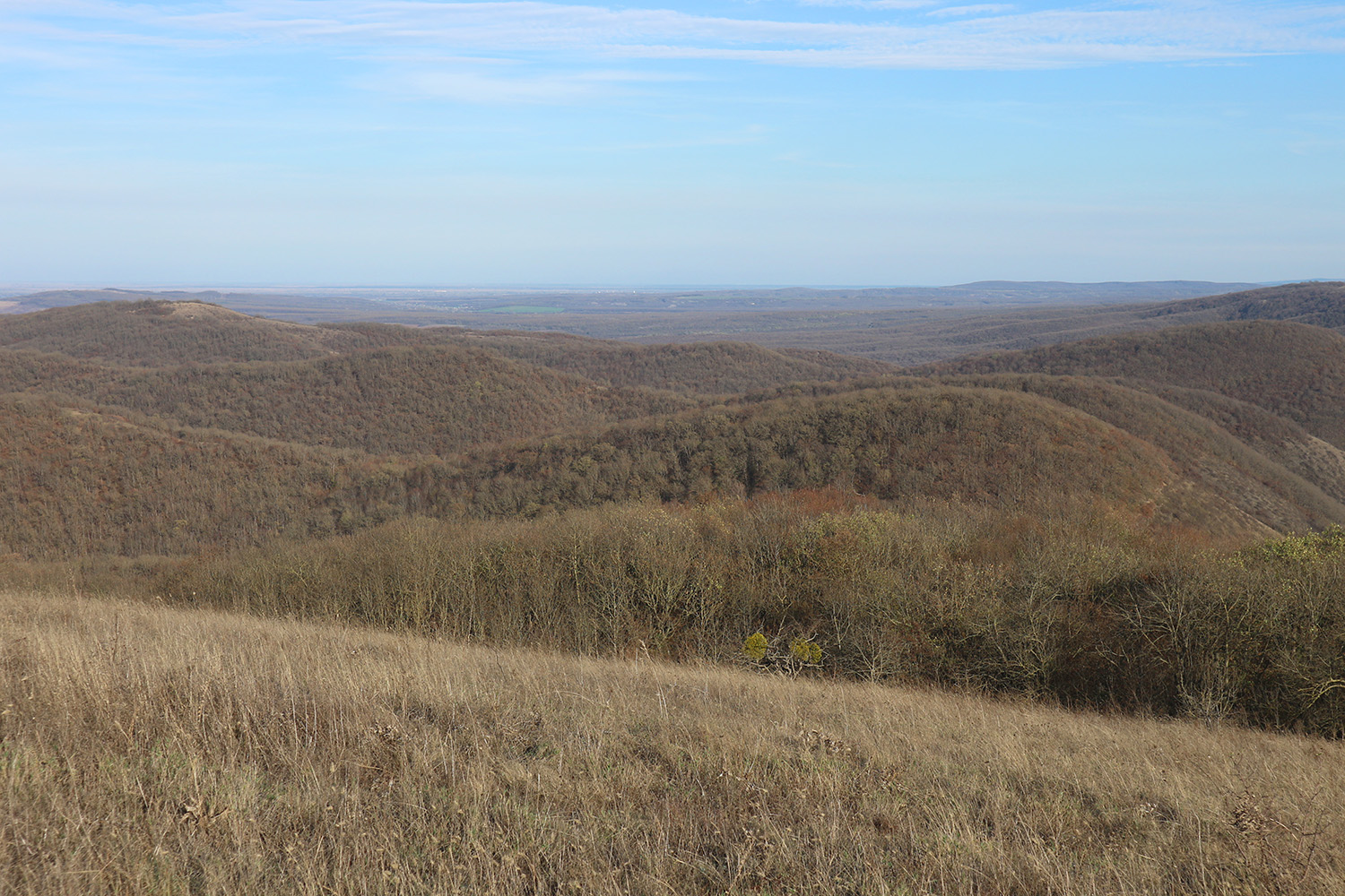 Херсонка, image of landscape/habitat.