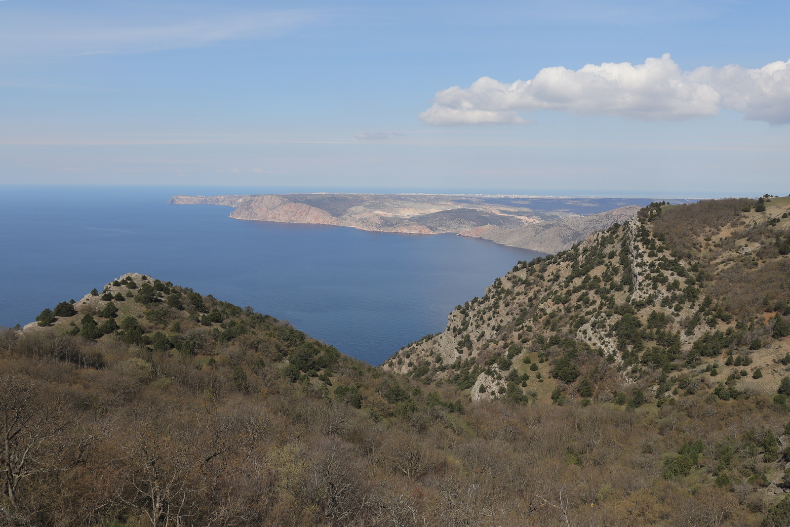 Биллер, image of landscape/habitat.