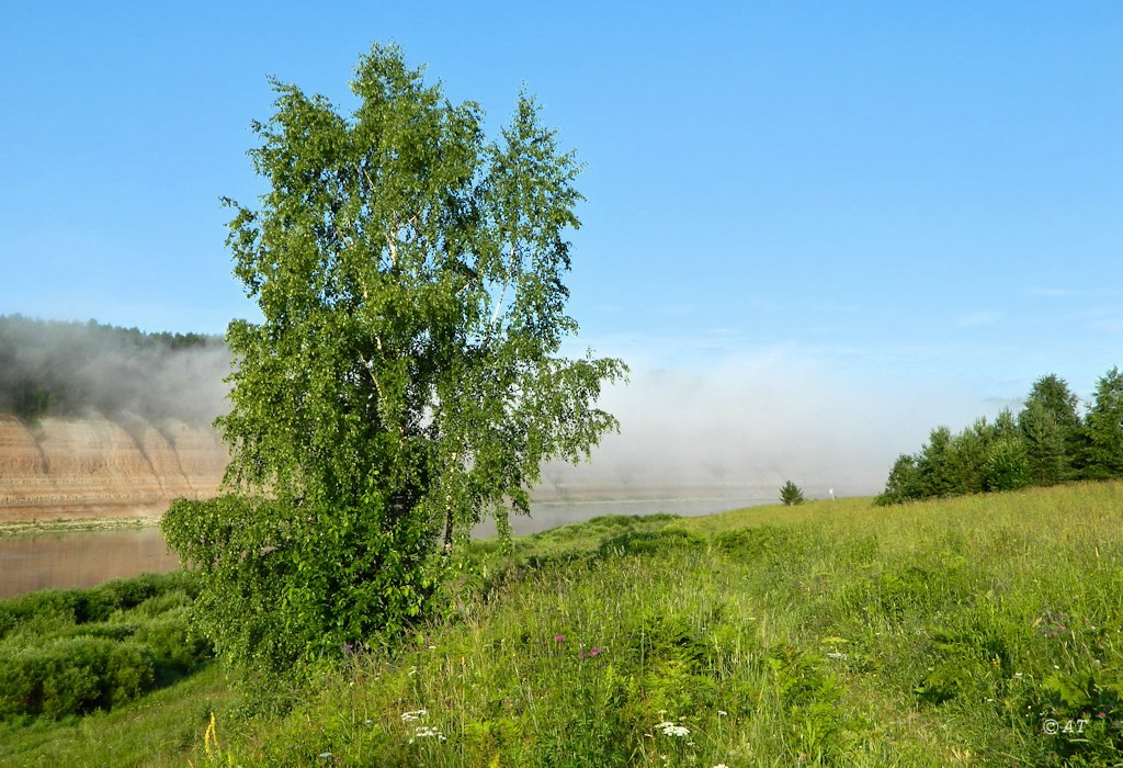 Устье Стрельны, image of landscape/habitat.