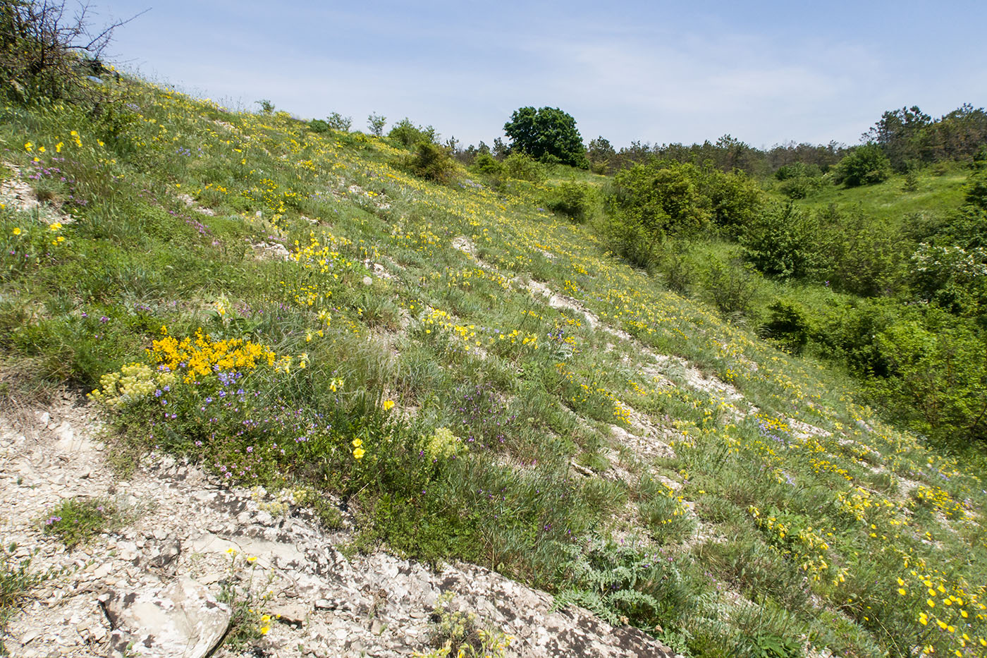 Гора Раевская, image of landscape/habitat.