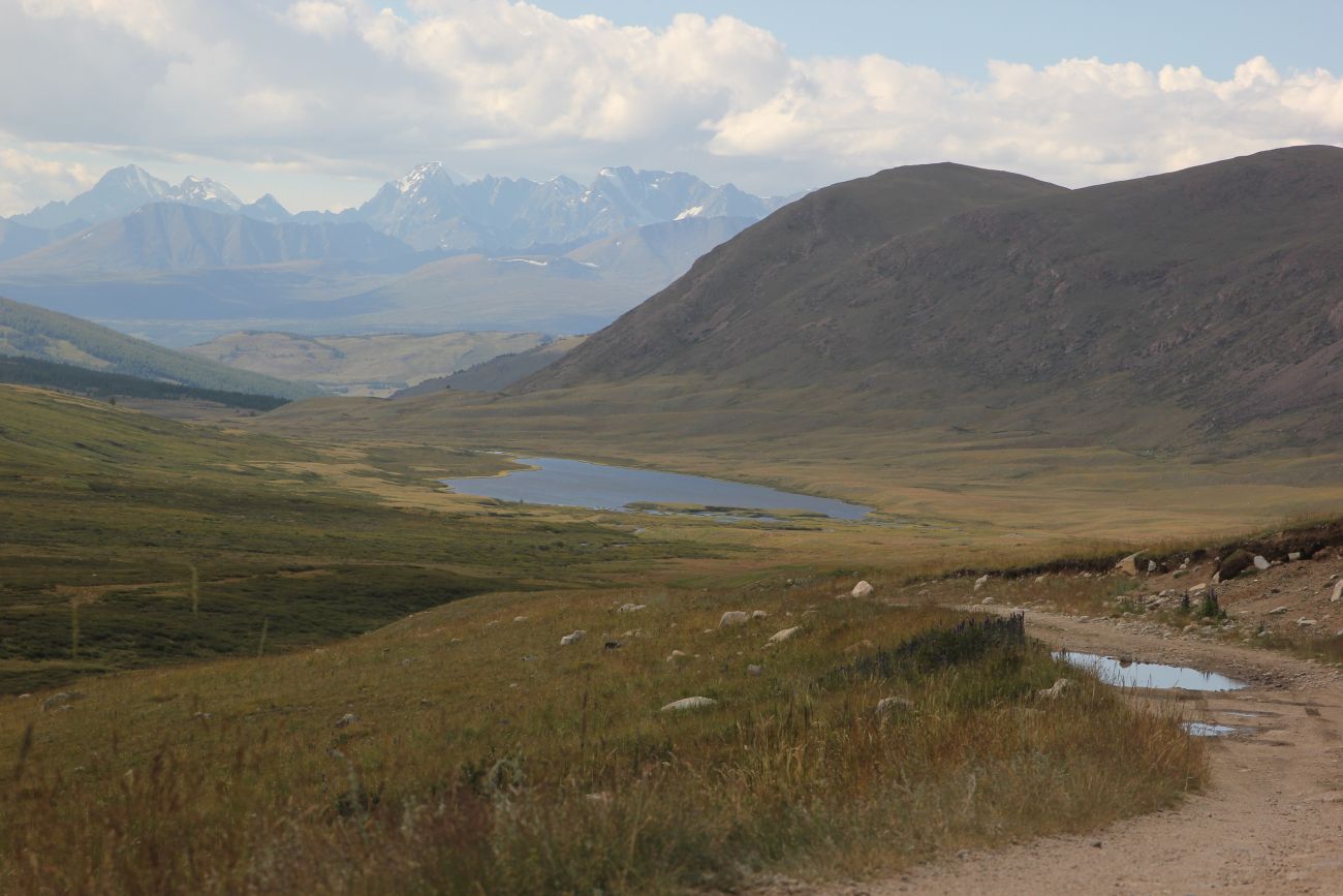 Верховья реки Джумалы, image of landscape/habitat.