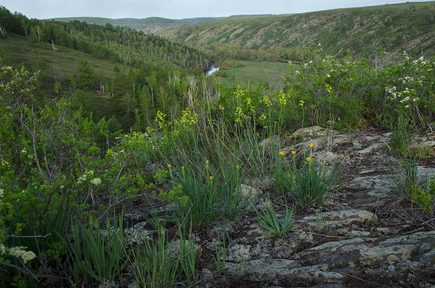 Акназарово и окрестности, image of landscape/habitat.