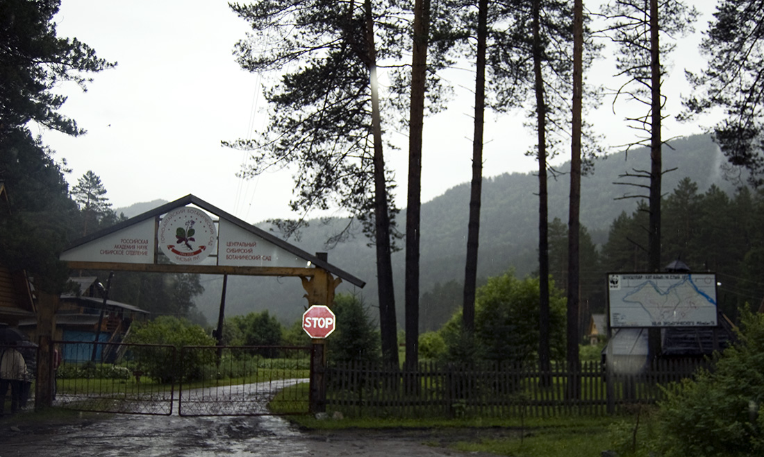 Горно-Алтайский Ботанический Сад, image of landscape/habitat.