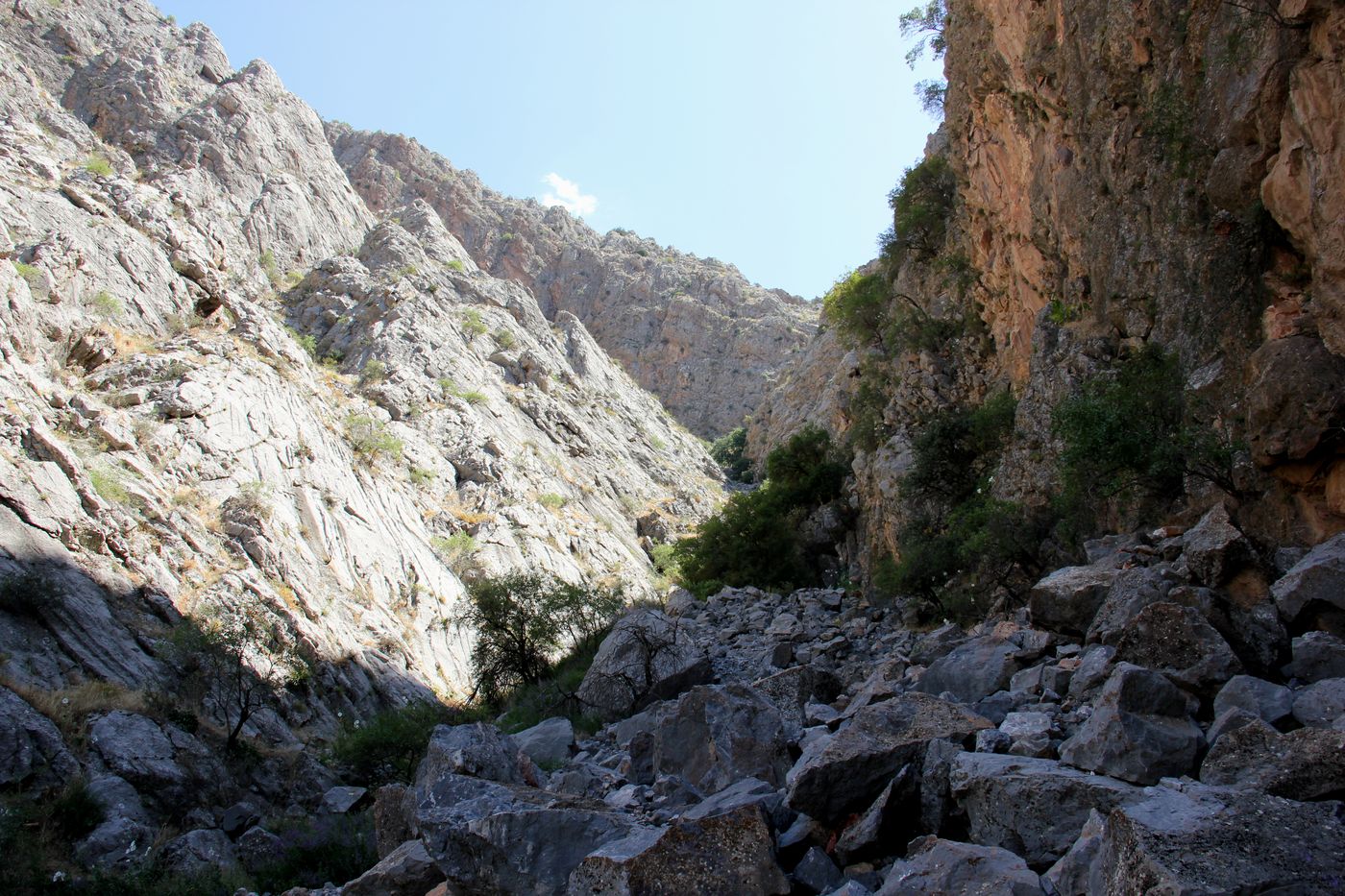 Верховья р. Кашкадарья, image of landscape/habitat.