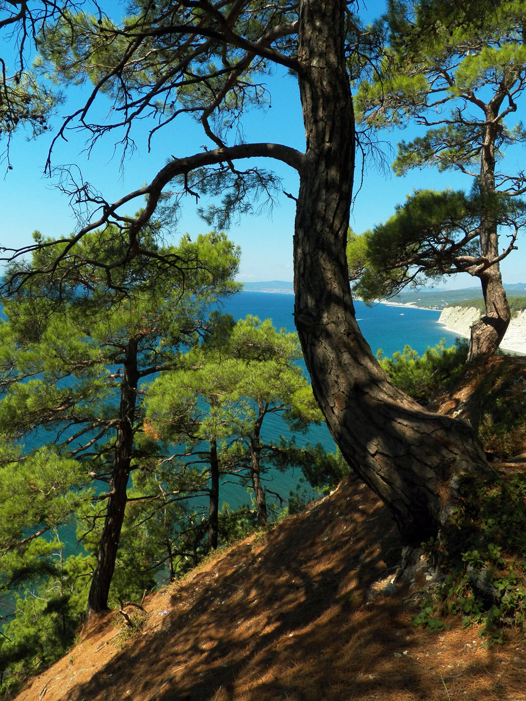 Голубая Бездна, image of landscape/habitat.