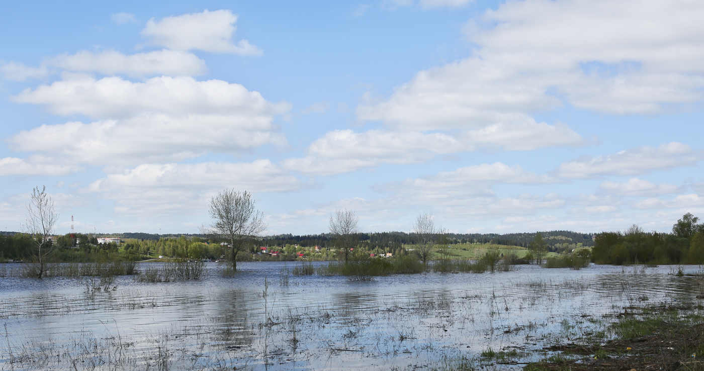 Закамск, image of landscape/habitat.