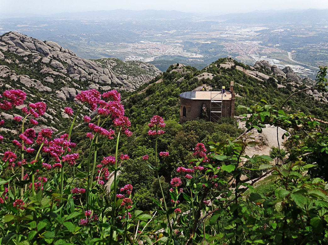 Гора Монтсеррат, image of landscape/habitat.